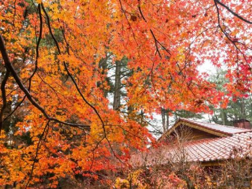 花蓮海景リゾートホテル 二日間旅行